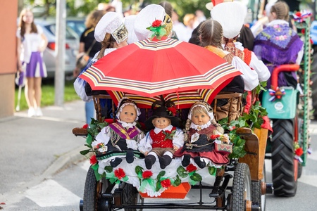 52. Dnevi narodnih noš_povorka (41)